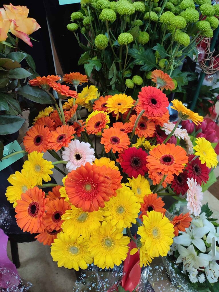 Bouquet de gerberas colorés, fleuriste à Bapaume