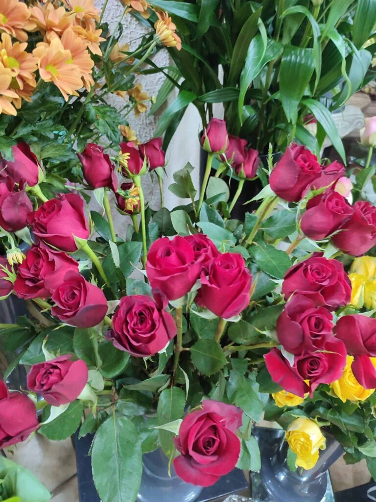 Roses rouges en boutique chez La Roseraie à Bapaume